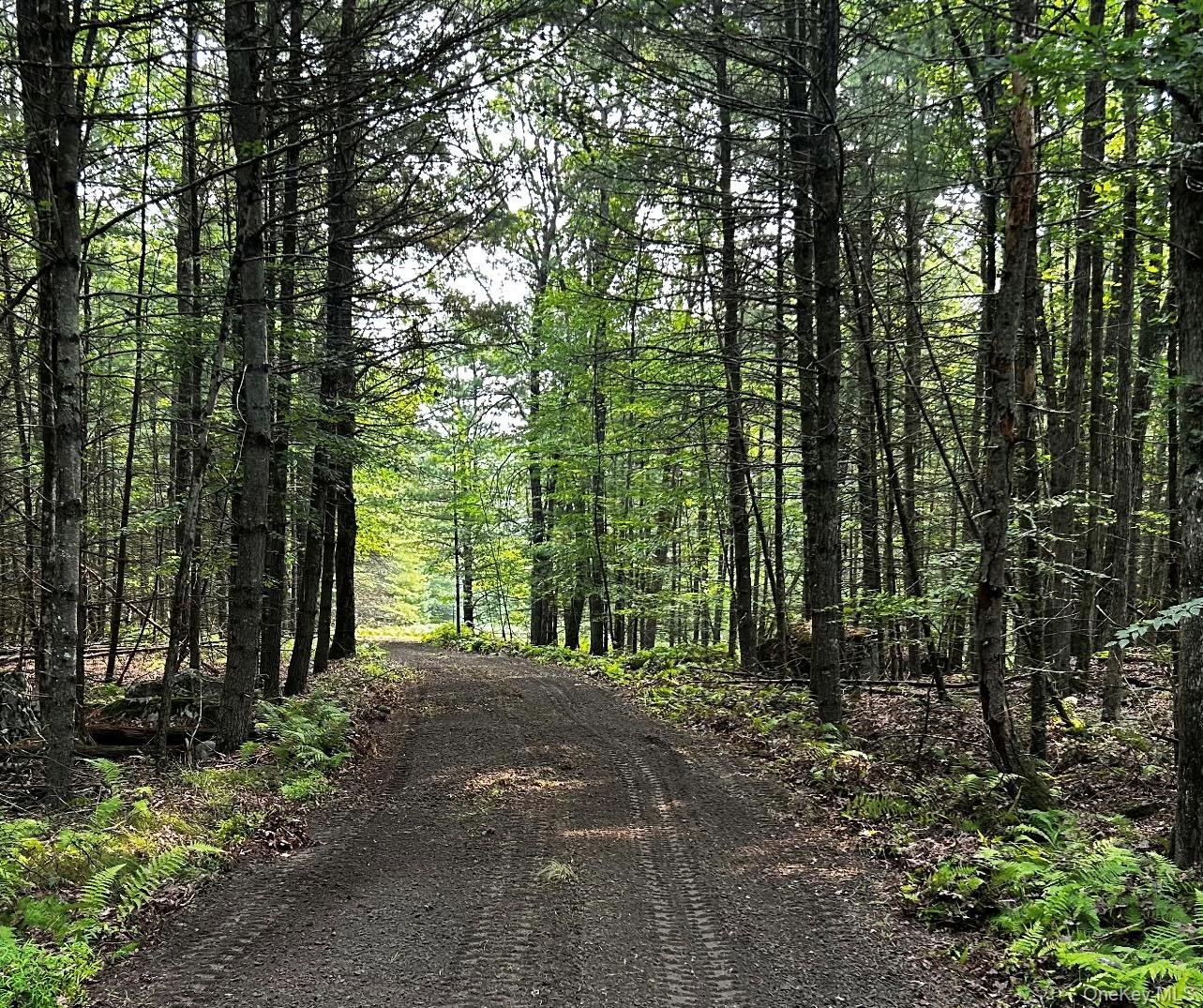 #9 photo, Lot 1 Eagle View Road, Narrowsburg , NY 12764