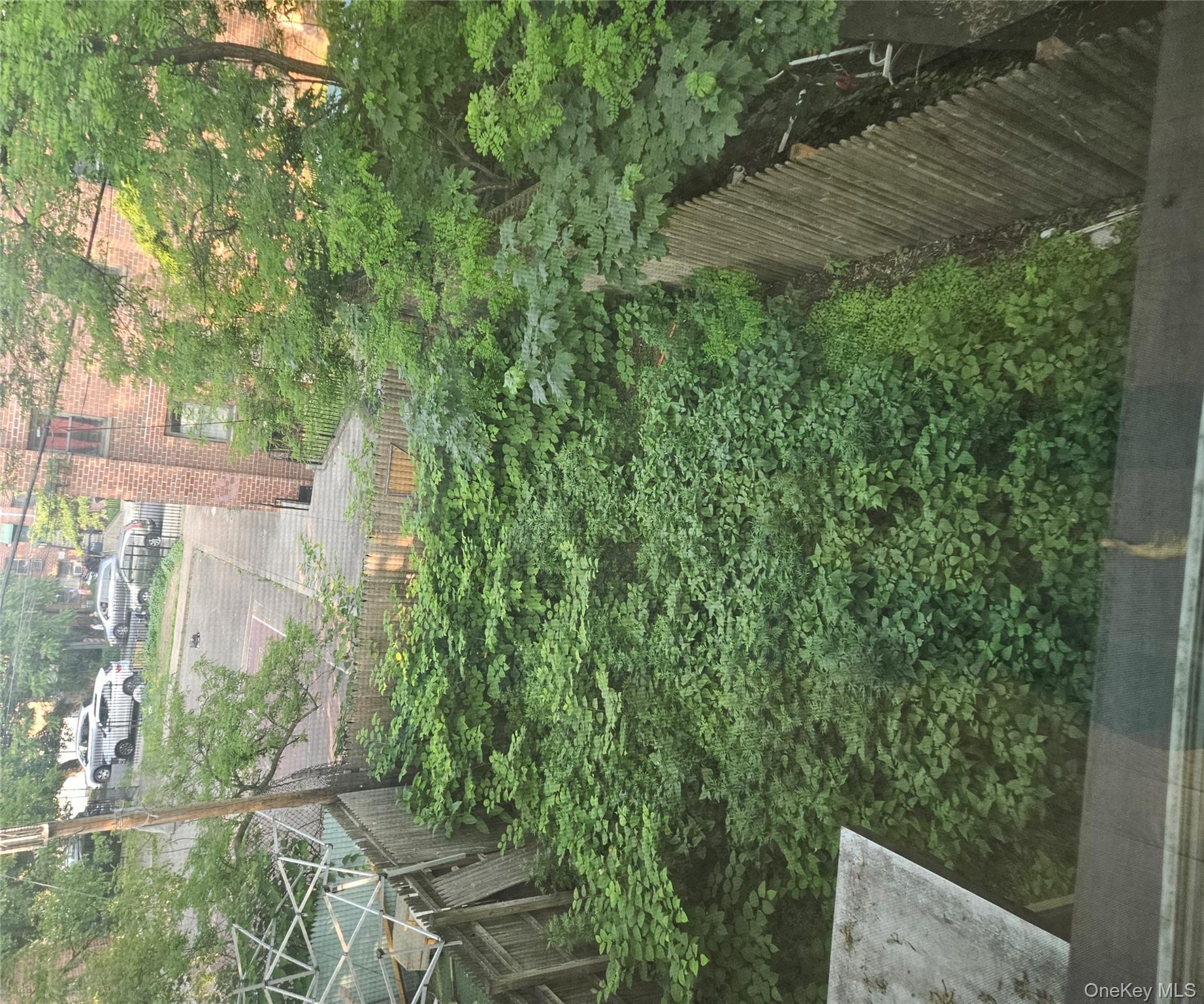 #13 photo, 495 Milford Street, Brooklyn , NY 11208