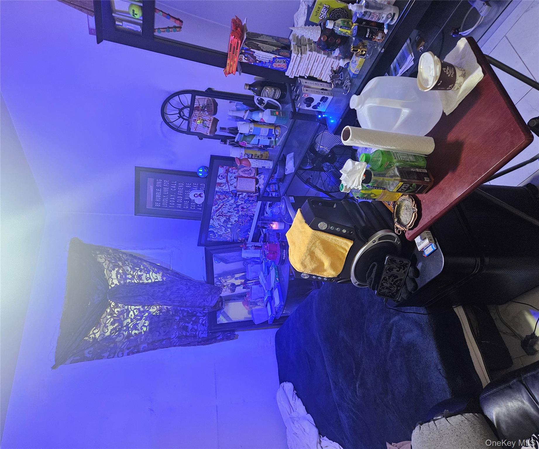 #19 photo, 495 Milford Street, Brooklyn , NY 11208