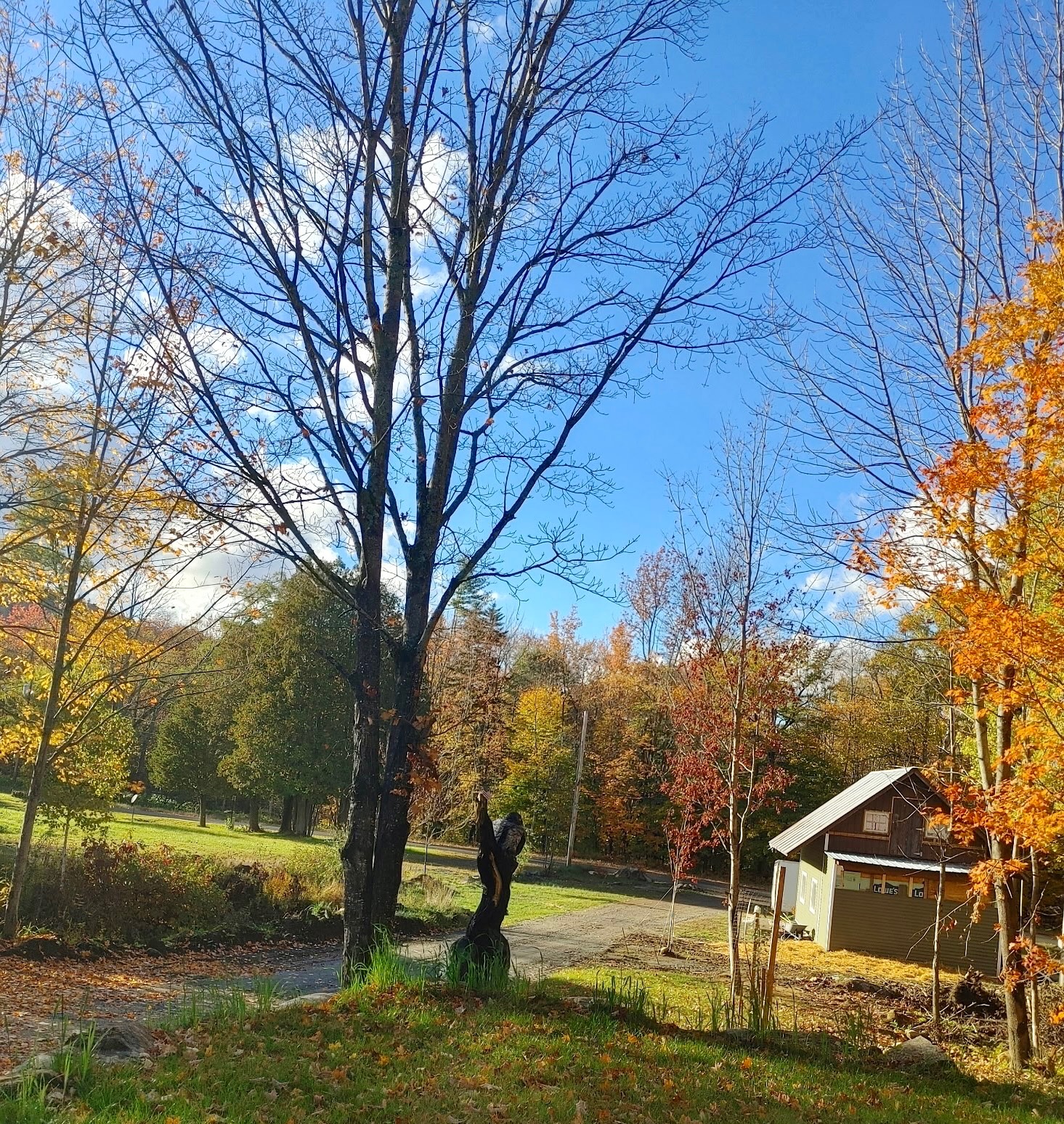 #3 photo, 215 Fish Mountain Road, Lake Pleasant , NY 12108