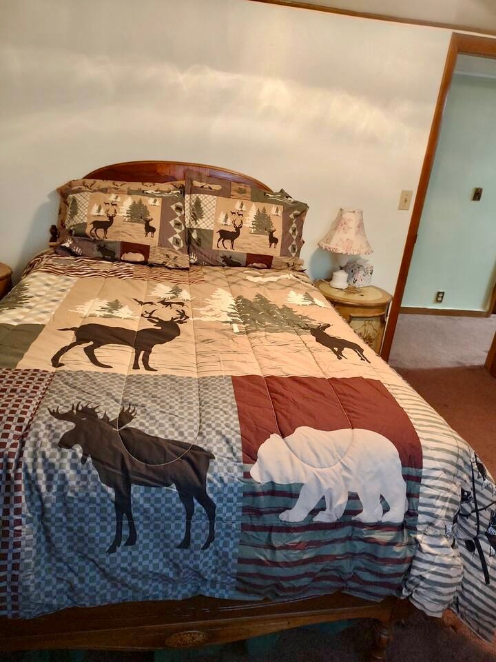 #37 photo, 215 Fish Mountain Road, Lake Pleasant , NY 12108