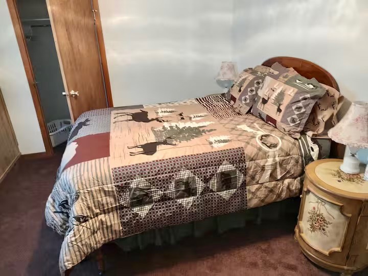 #45 photo, 215 Fish Mountain Road, Lake Pleasant , NY 12108