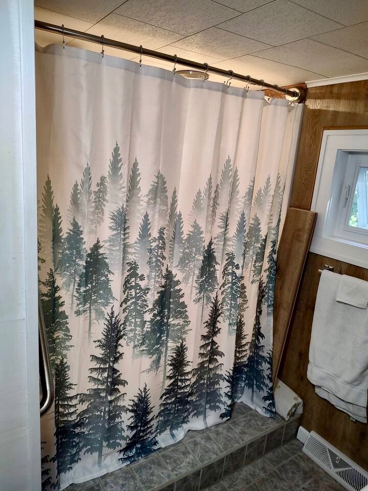 #46 photo, 215 Fish Mountain Road, Lake Pleasant , NY 12108