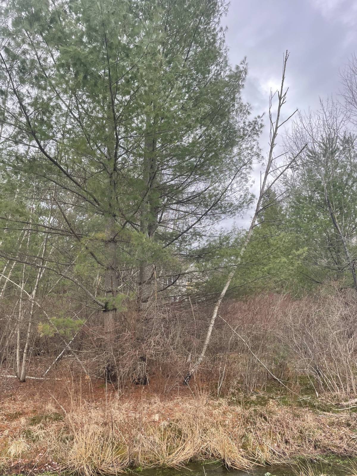 #10 photo, 39 Birch Lane, Swan Lake , NY 12783