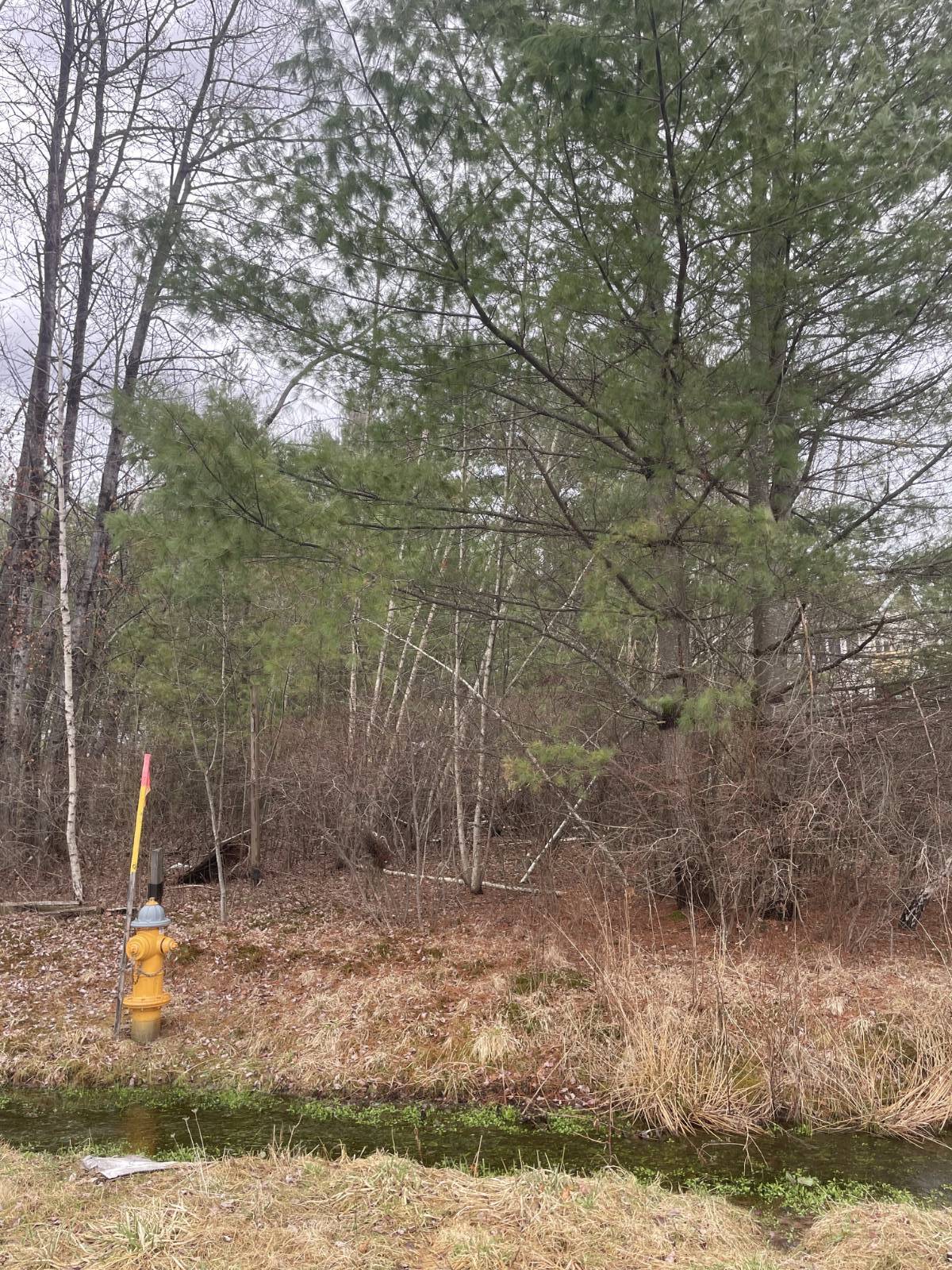 #11 photo, 39 Birch Lane, Swan Lake , NY 12783