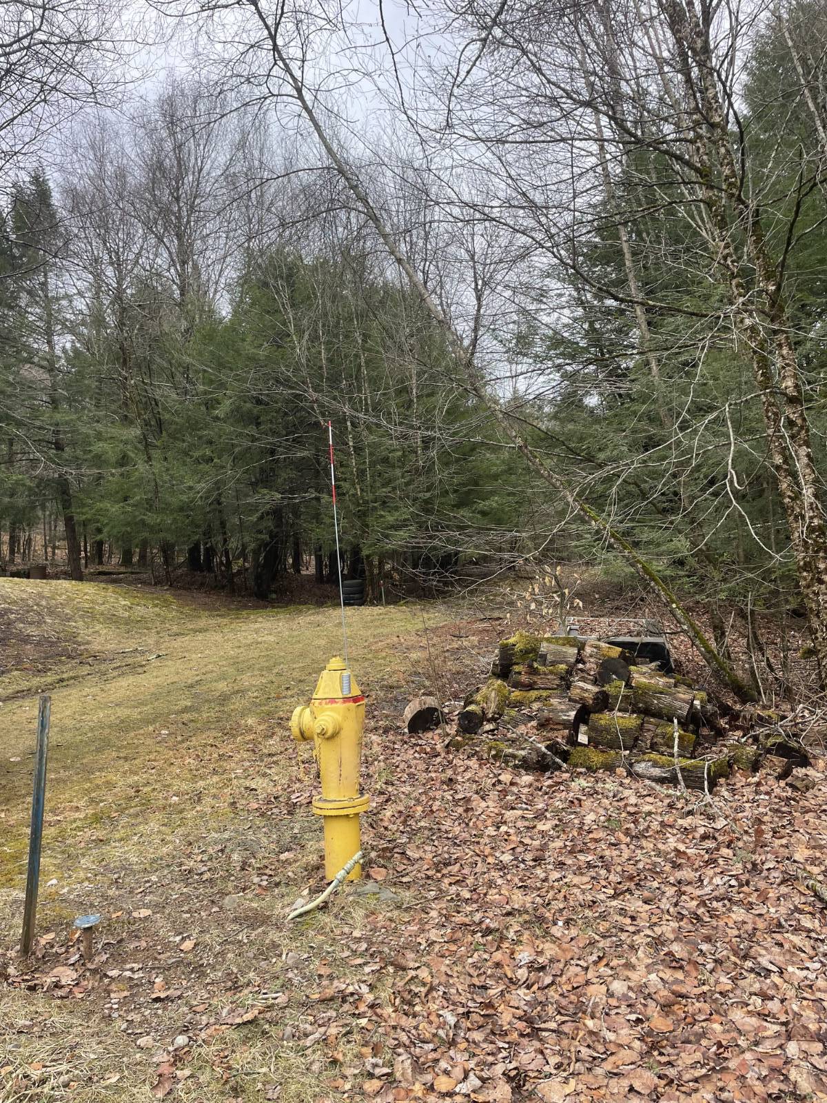 #12 photo, 39 Birch Lane, Swan Lake , NY 12783