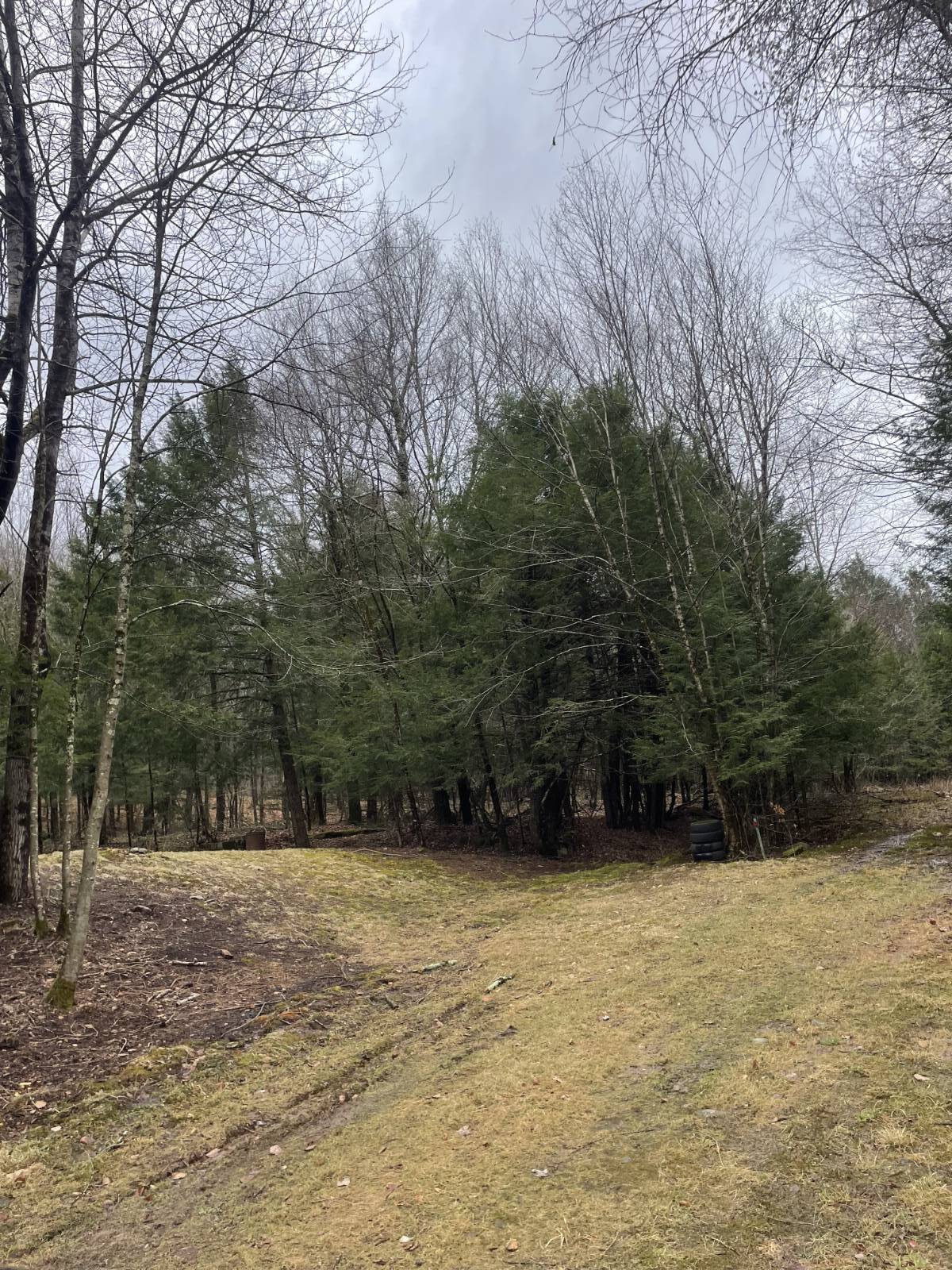 #13 photo, 39 Birch Lane, Swan Lake , NY 12783