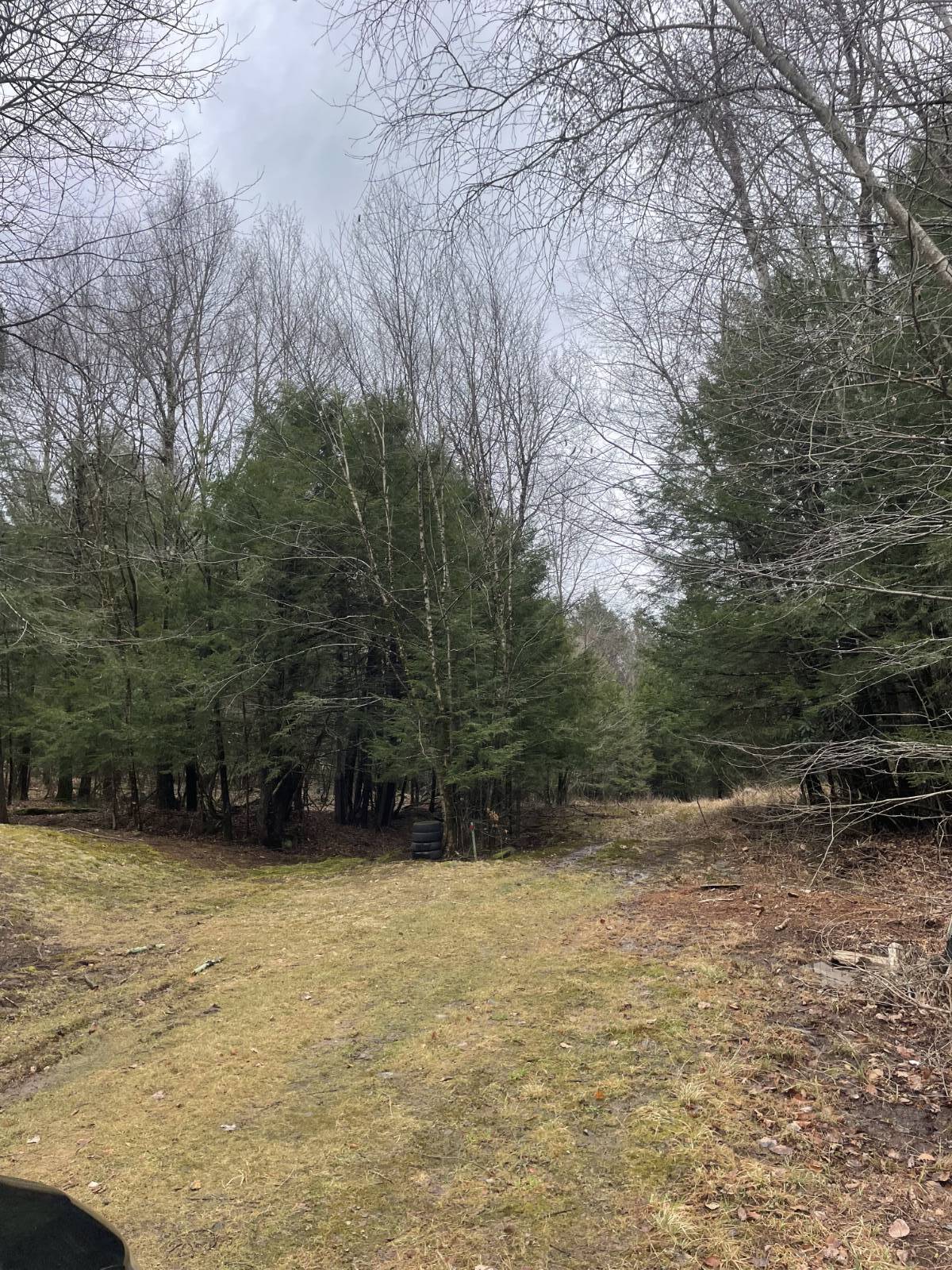 #14 photo, 39 Birch Lane, Swan Lake , NY 12783