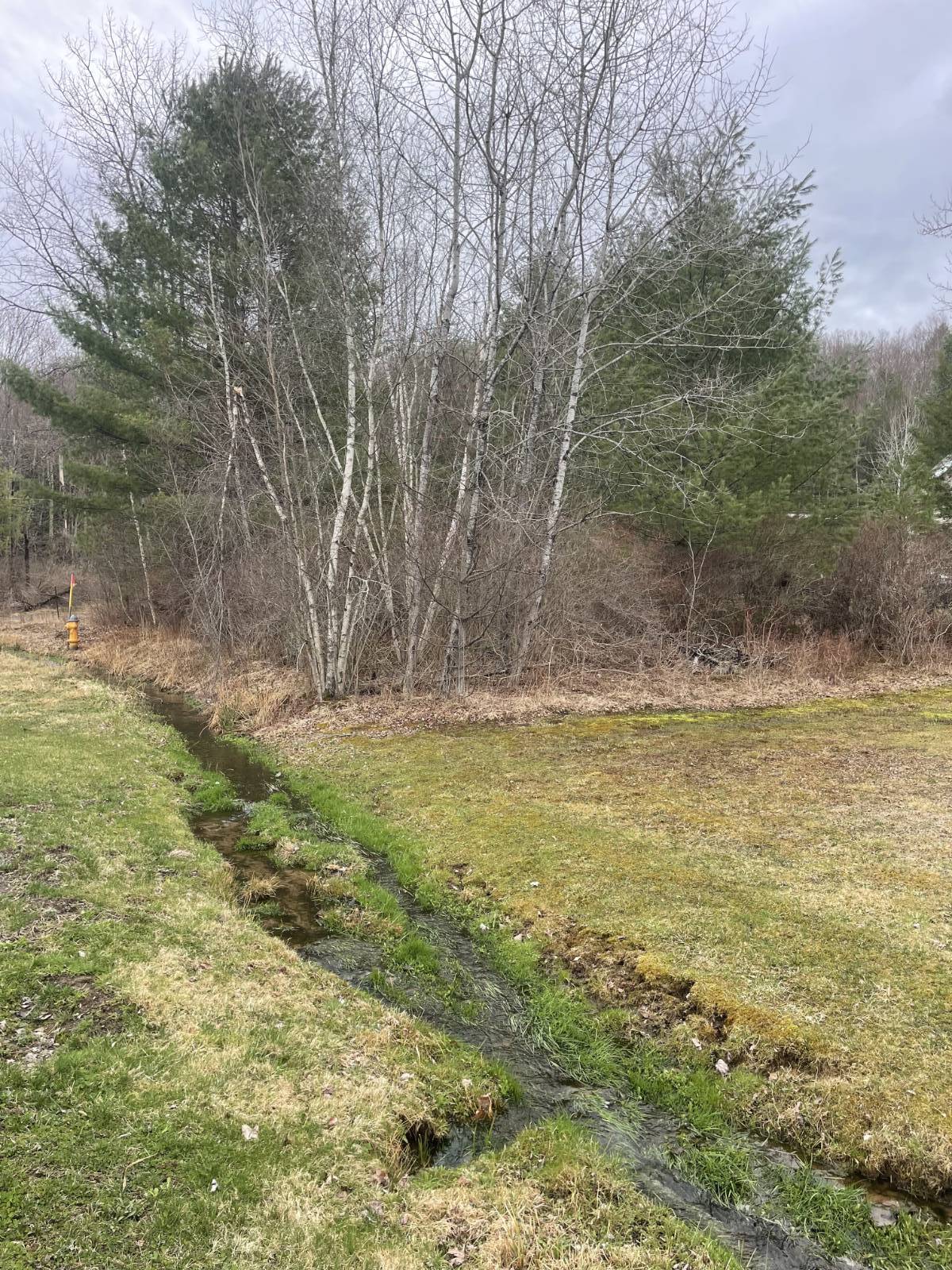 #17 photo, 39 Birch Lane, Swan Lake , NY 12783