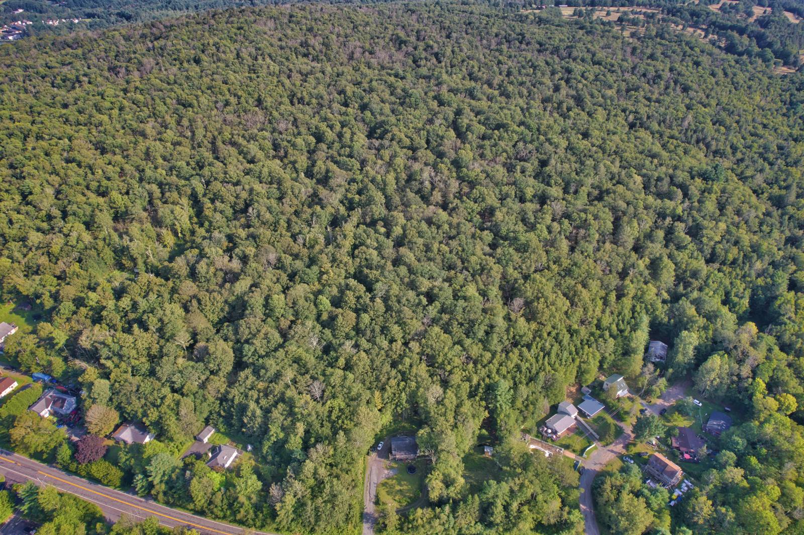 #2 photo, 39 Birch Lane, Swan Lake , NY 12783