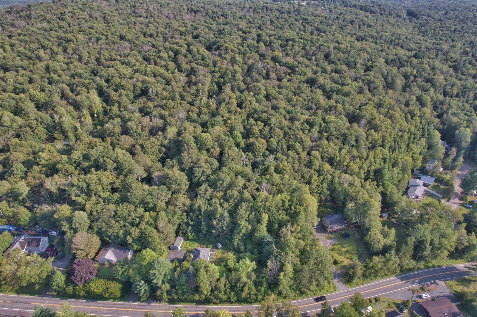 #4 photo, 39 Birch Lane, Swan Lake , NY 12783