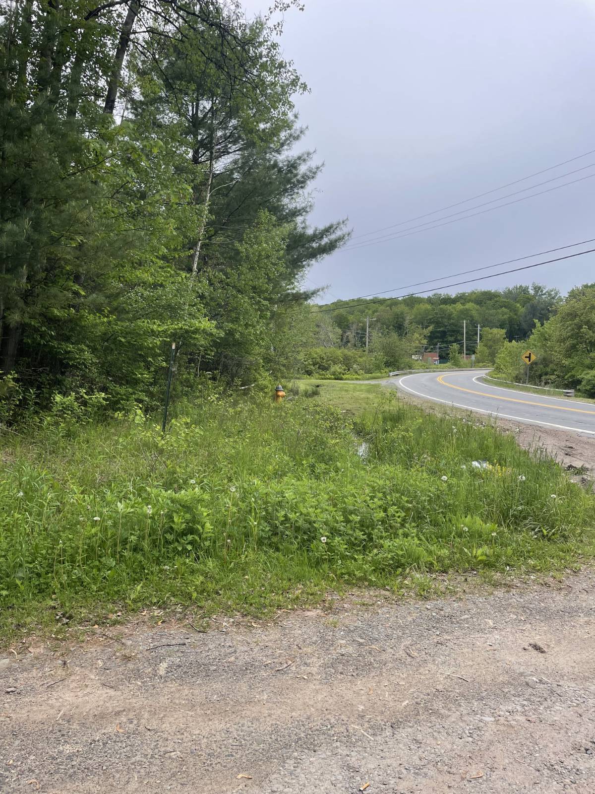 #6 photo, 39 Birch Lane, Swan Lake , NY 12783