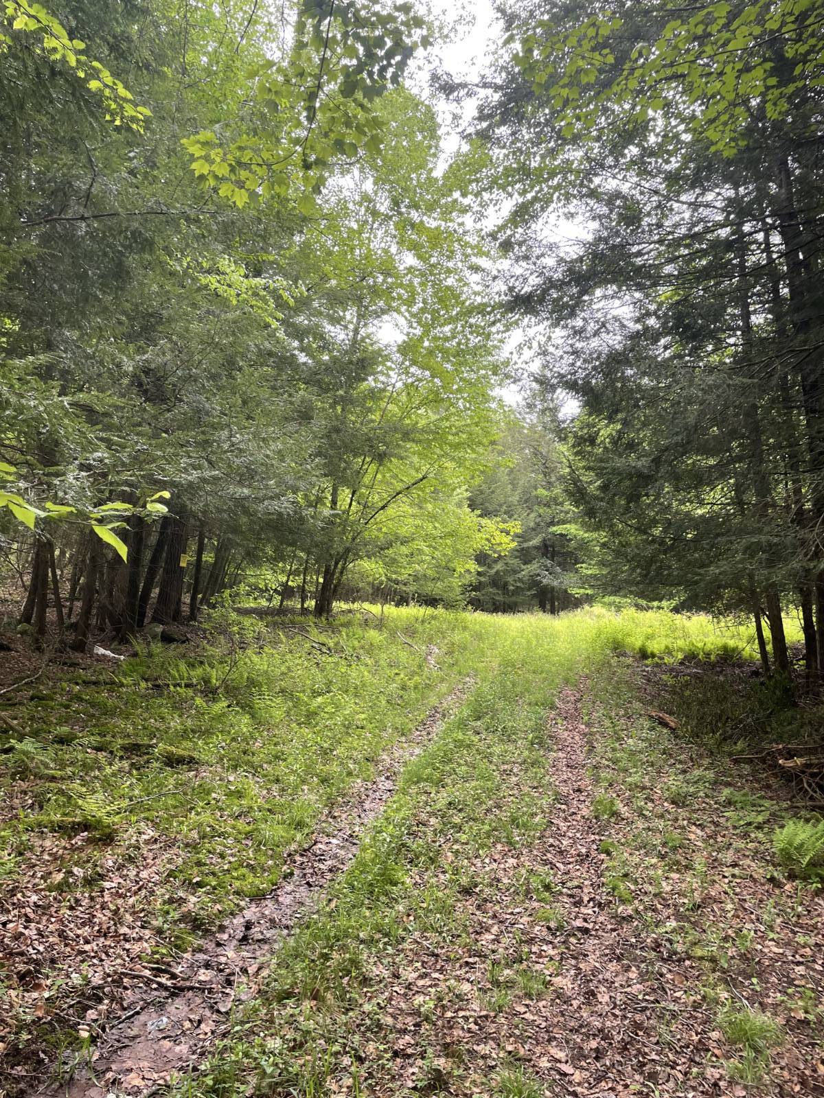 #7 photo, 39 Birch Lane, Swan Lake , NY 12783