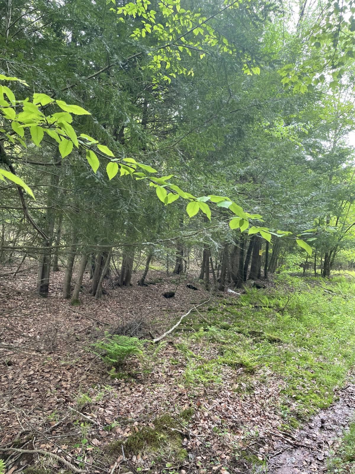 #8 photo, 39 Birch Lane, Swan Lake , NY 12783