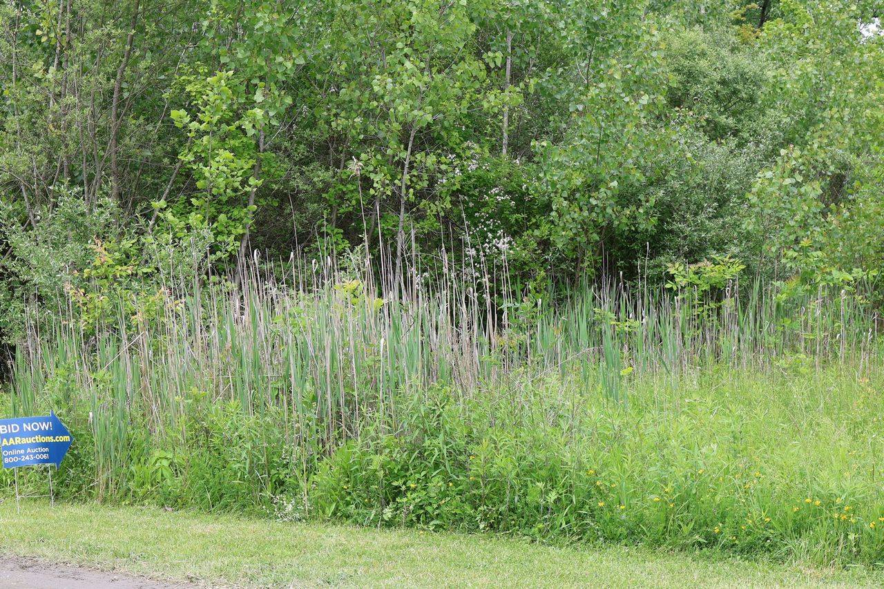 #2 photo, 0 Bischoff Ln, Beekman , NY 12533