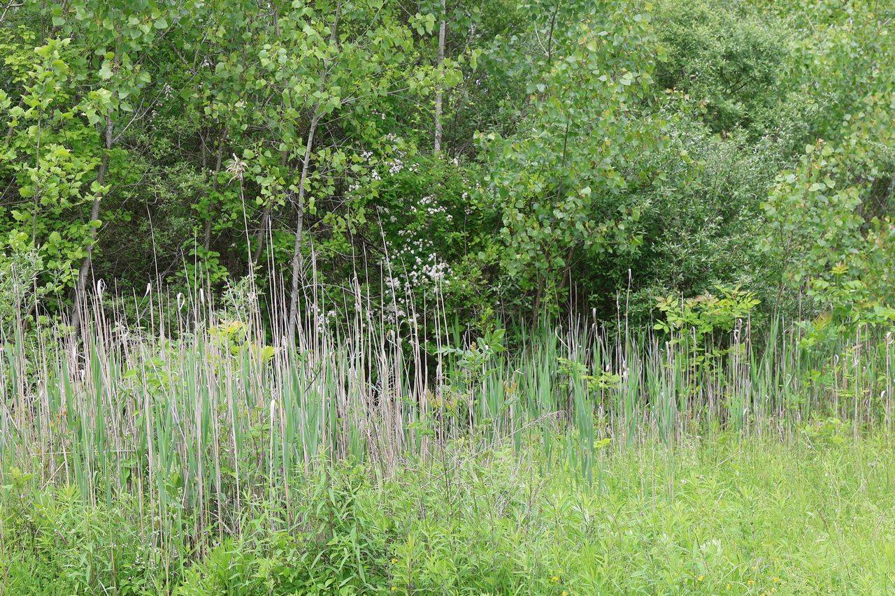 #3 photo, 0 Bischoff Ln, Beekman , NY 12533