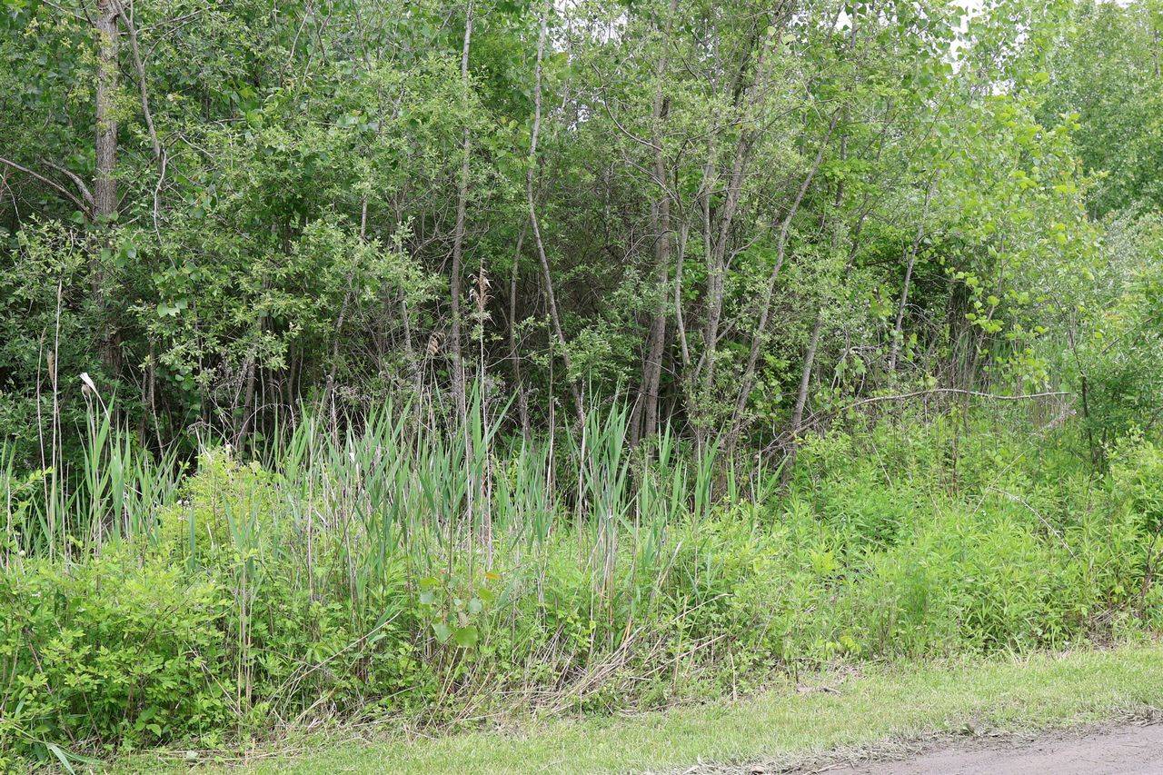 #5 photo, 0 Bischoff Ln, Beekman , NY 12533