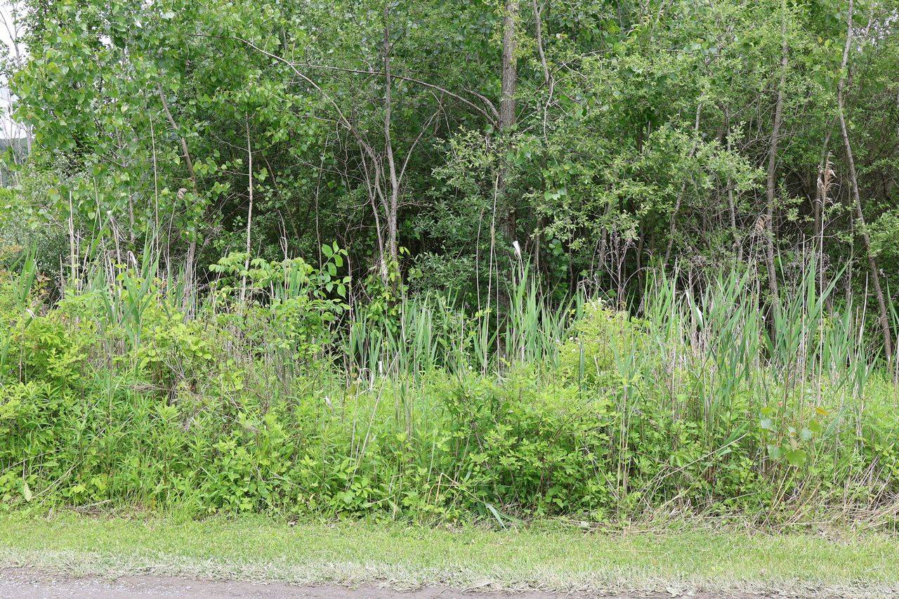 #6 photo, 0 Bischoff Ln, Beekman , NY 12533