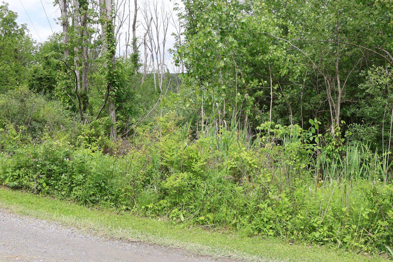 #7 photo, 0 Bischoff Ln, Beekman , NY 12533