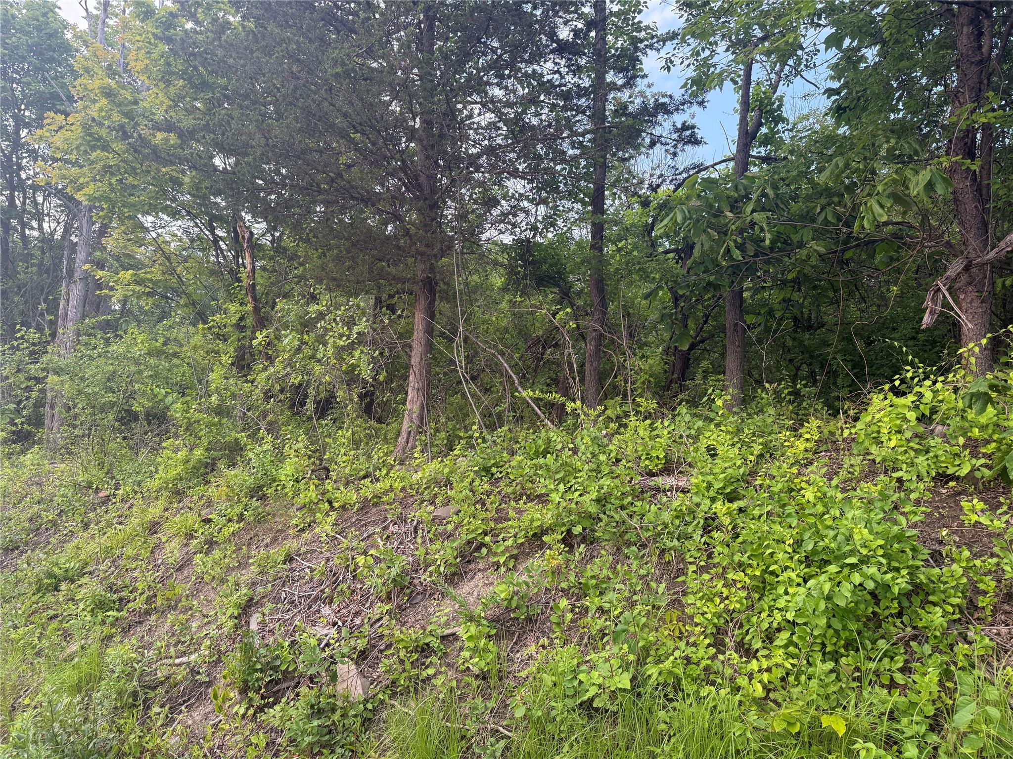 #4 photo, Old Ridge Rd, Warwick , NY 10990