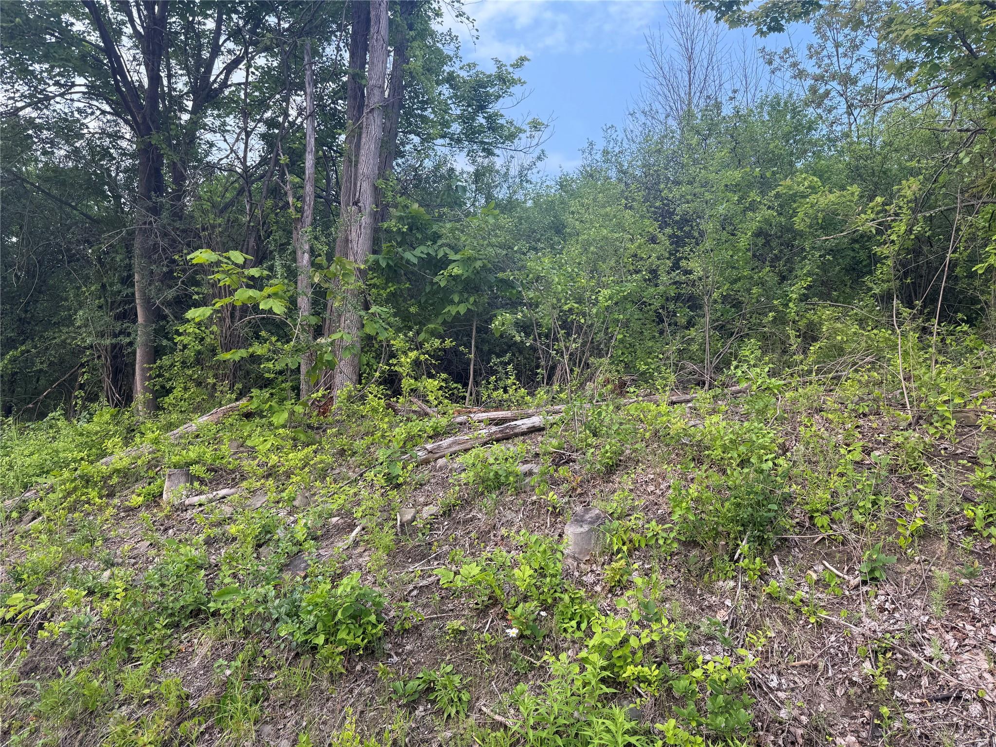 #5 photo, Old Ridge Rd, Warwick , NY 10990