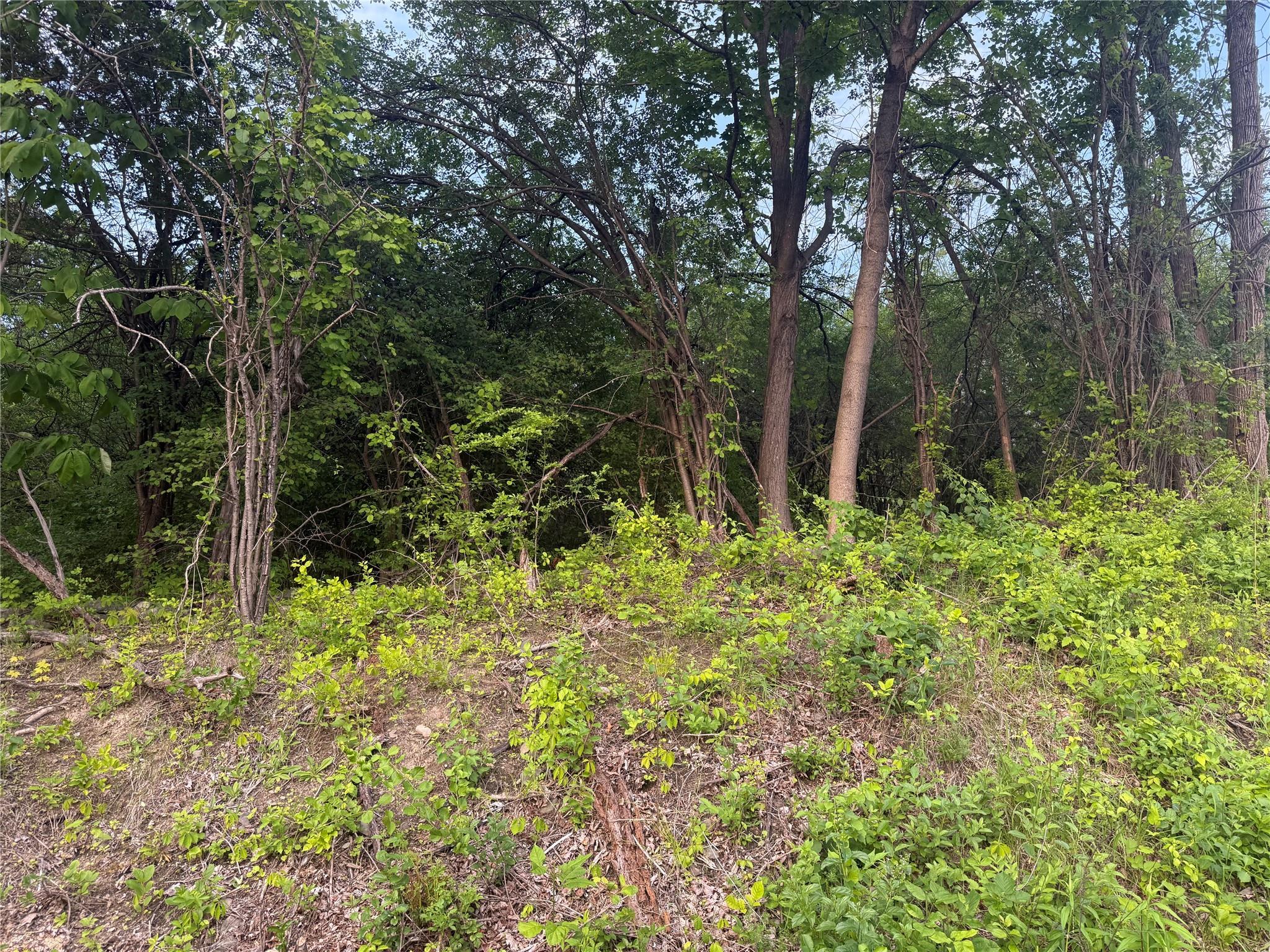 #6 photo, Old Ridge Rd, Warwick , NY 10990