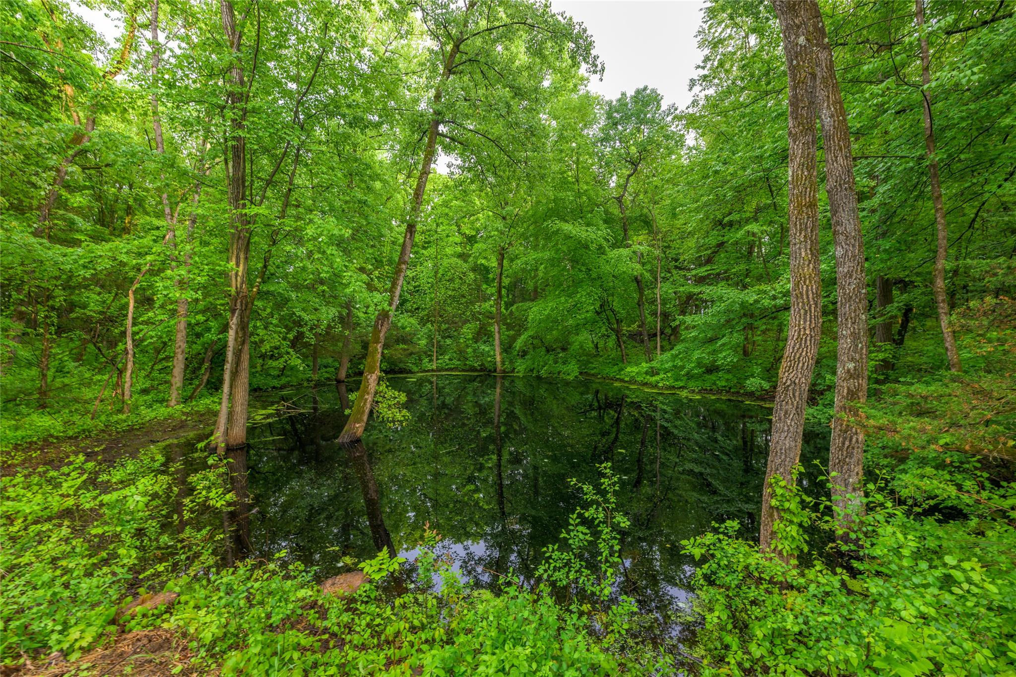 #9 photo, 474 Route 199, Red Hook , NY 12571