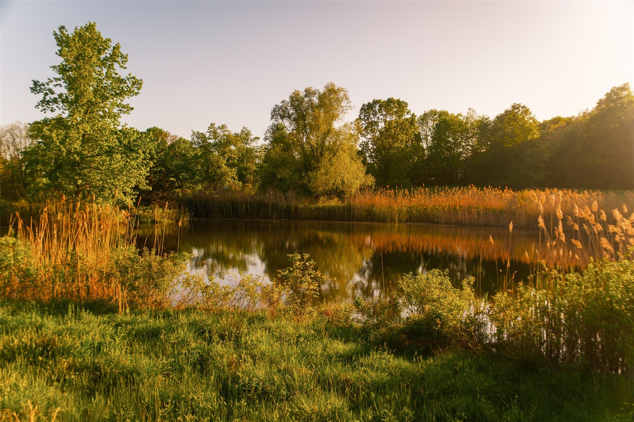 #10 photo, 261 Route 308, Rhinebeck , NY 