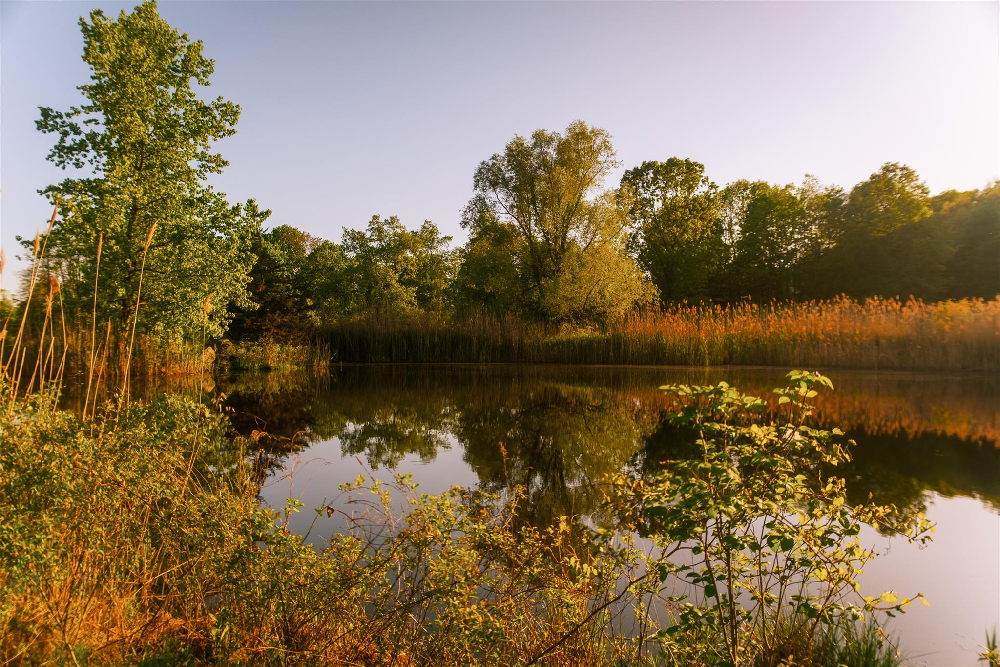 #11 photo, 261 Route 308, Rhinebeck , NY 