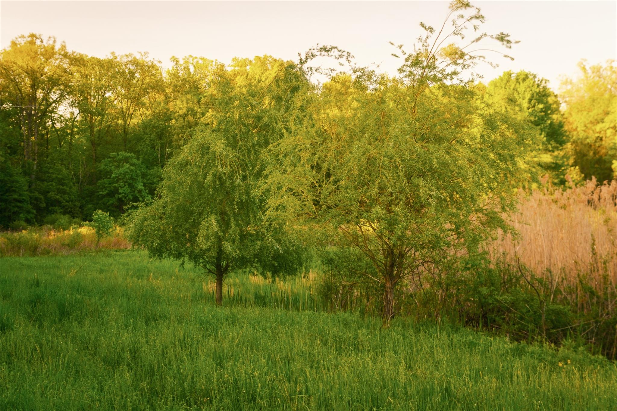 #12 photo, 261 Route 308, Rhinebeck , NY 