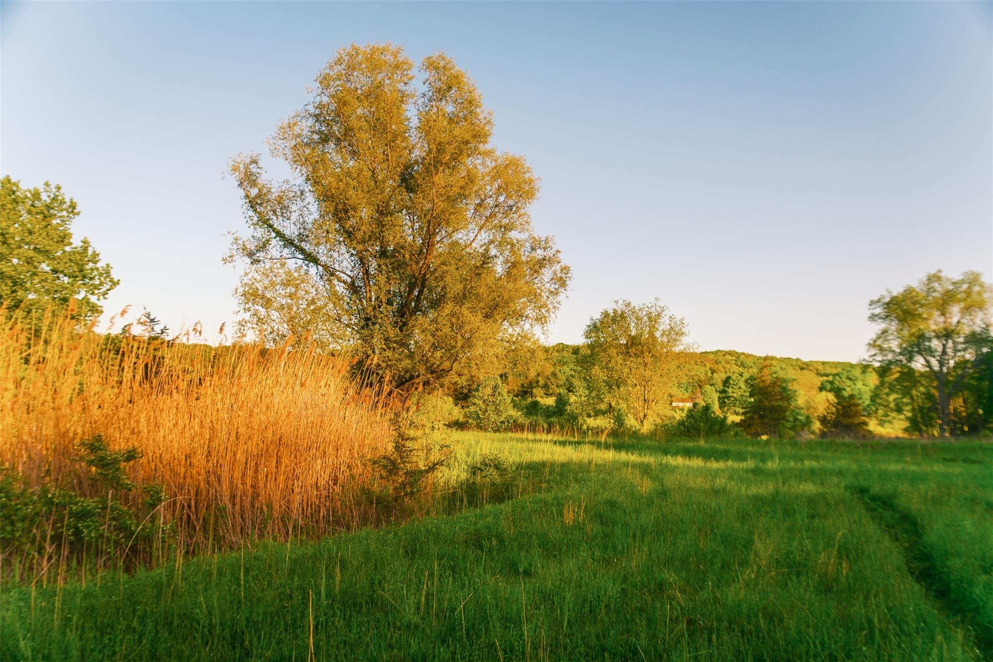 #13 photo, 261 Route 308, Rhinebeck , NY 