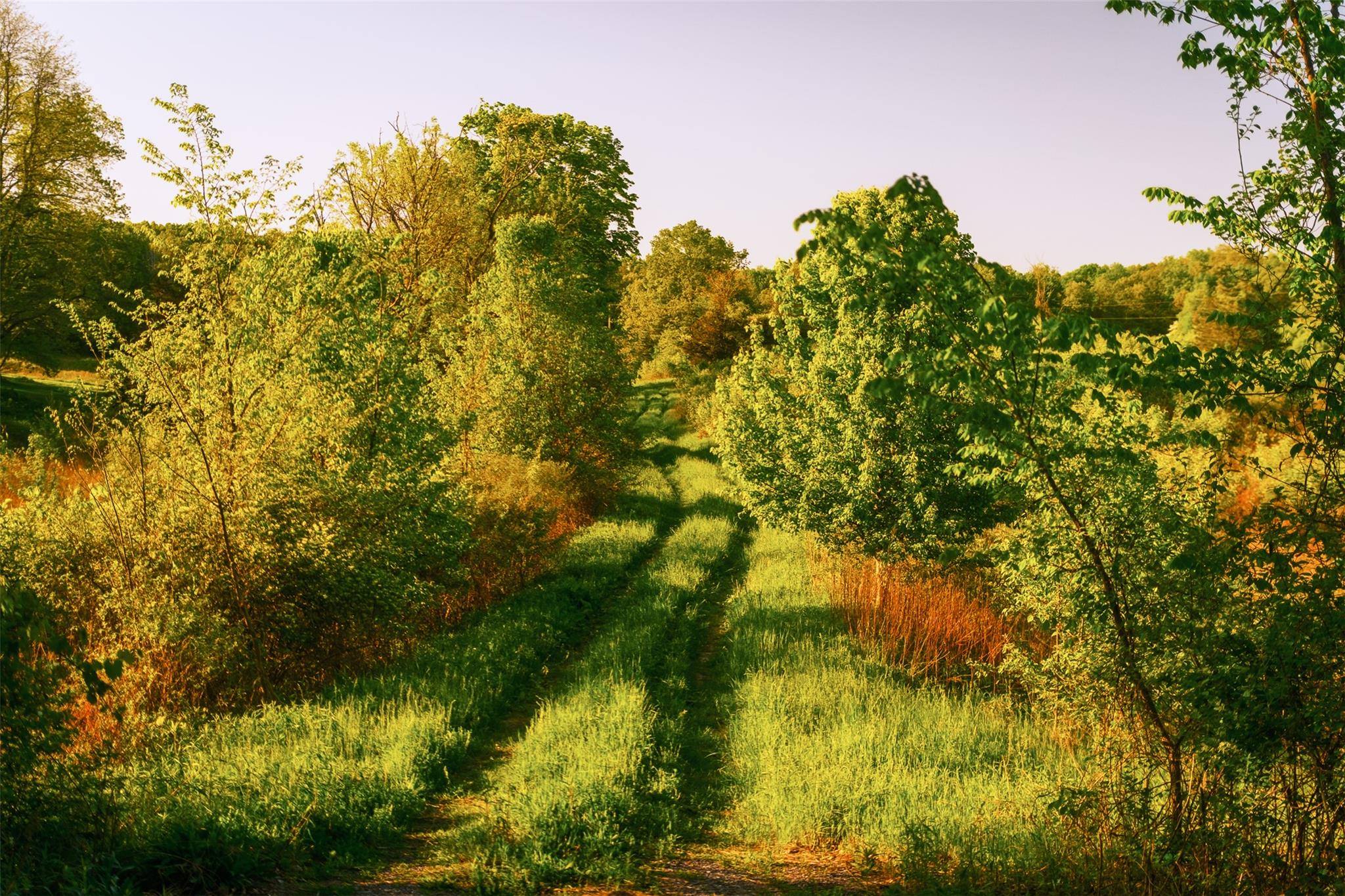 #3 photo, 261 Route 308, Rhinebeck , NY 