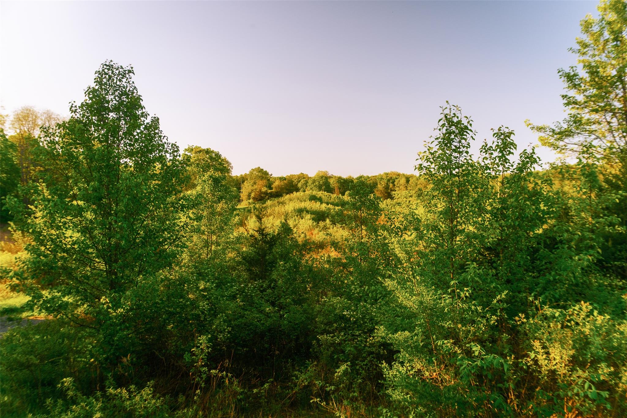 #4 photo, 261 Route 308, Rhinebeck , NY 