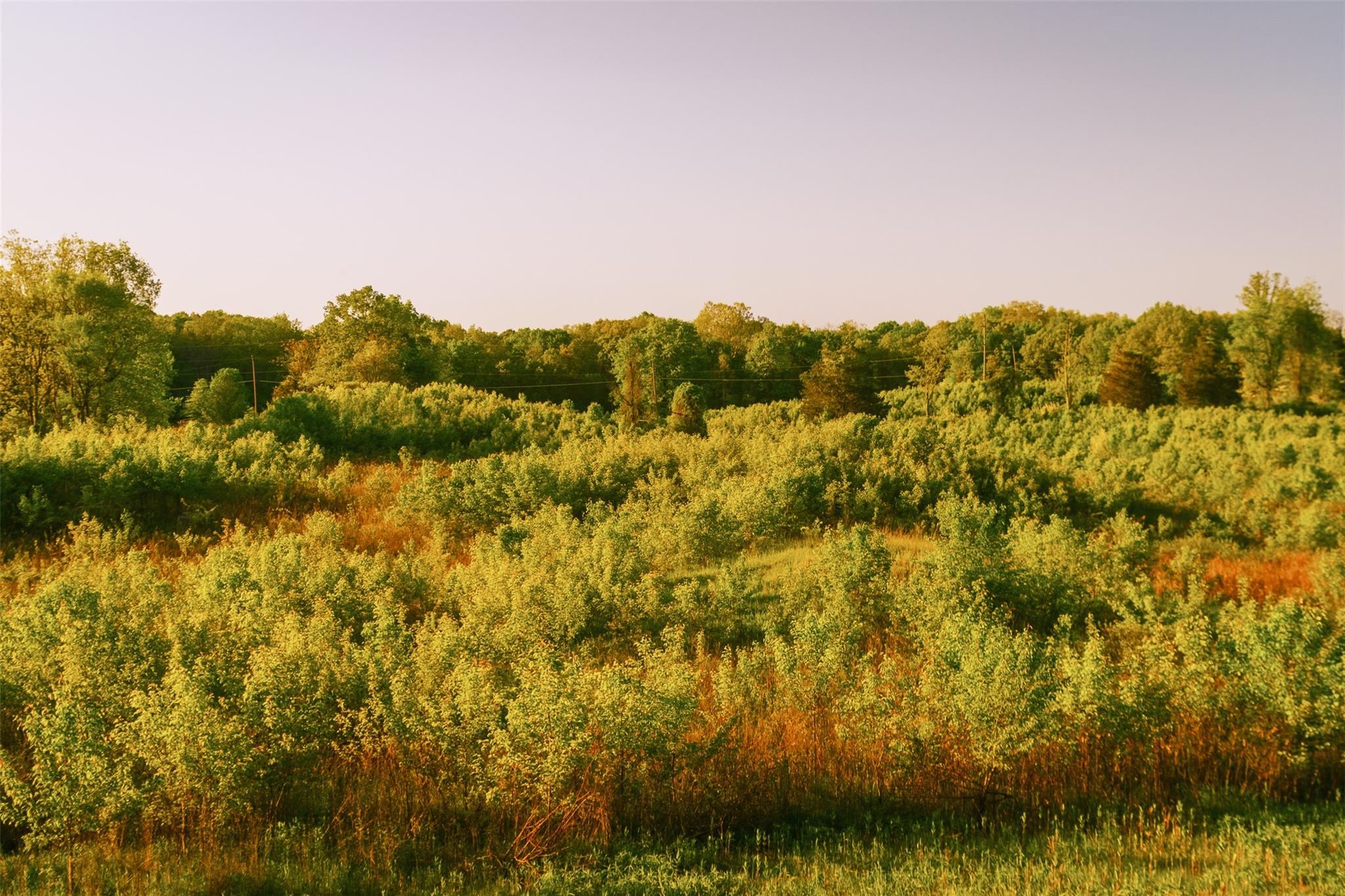 #5 photo, 261 Route 308, Rhinebeck , NY 