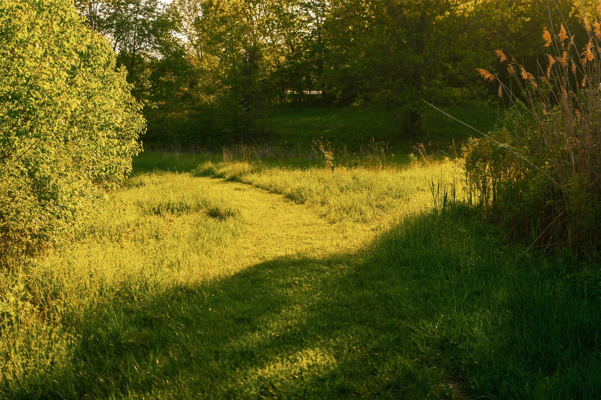 #6 photo, 261 Route 308, Rhinebeck , NY 