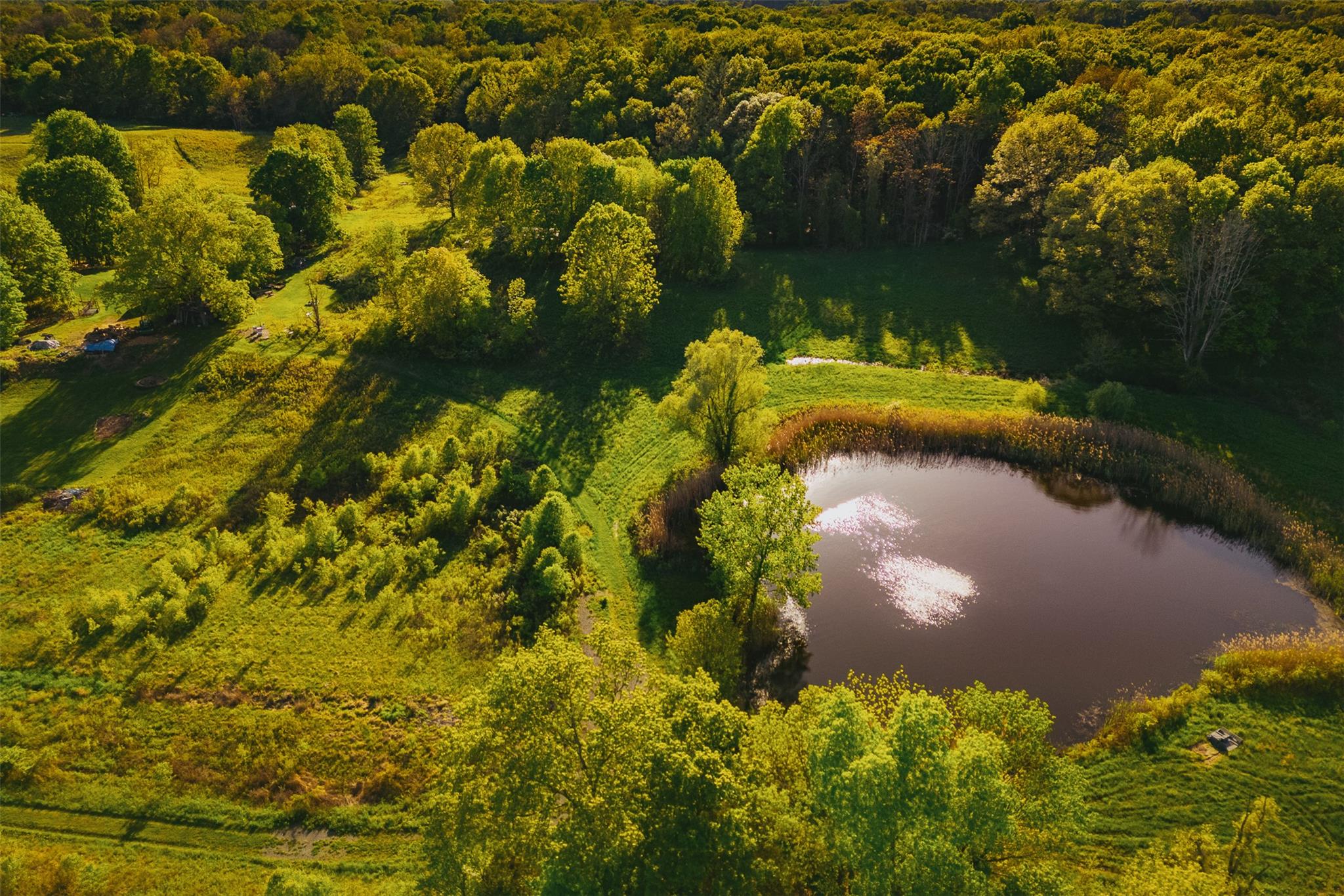 #8 photo, 261 Route 308, Rhinebeck , NY 