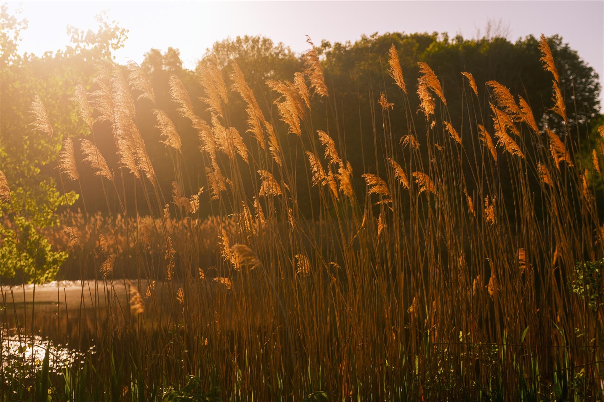 #9 photo, 261 Route 308, Rhinebeck , NY 