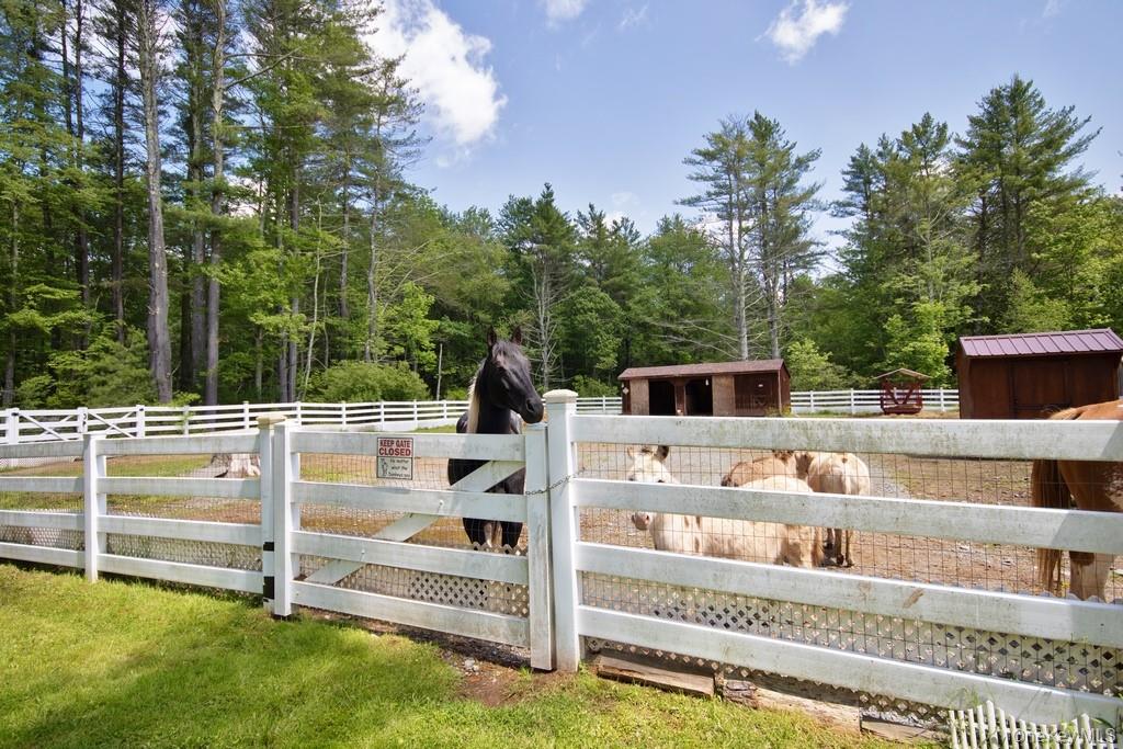 #5 photo, 3060 State Route 17B, Cochecton , NY 12726