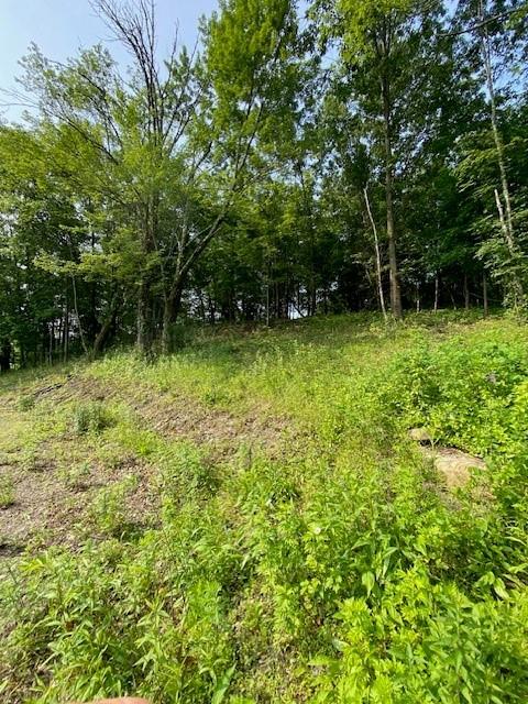 #5 photo, 156 Schefflers Road, Westtown , NY 10998