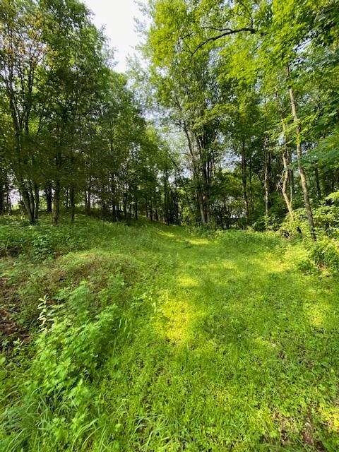 #6 photo, 156 Schefflers Road, Westtown , NY 10998