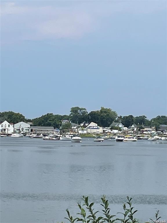 #8 photo, 758 Connecticut View Drive, ナッソー郡 Mill Neck , NY 11771