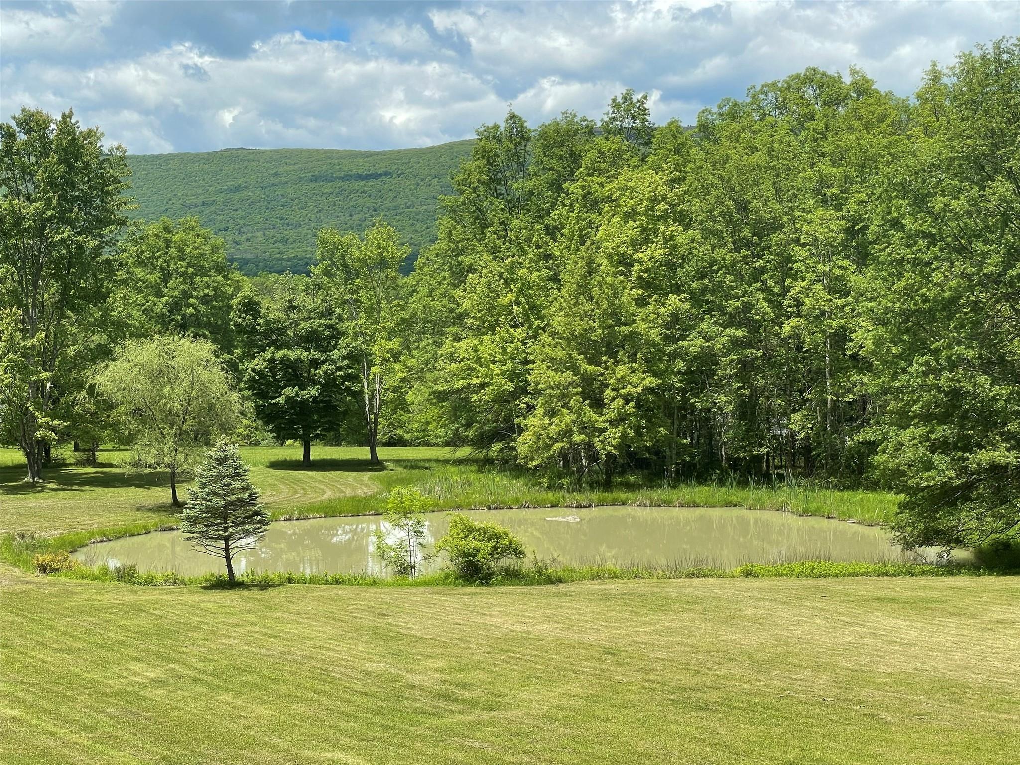 #14 photo, 71 Saddleback Ridge Road, Wallkill , NY 12589