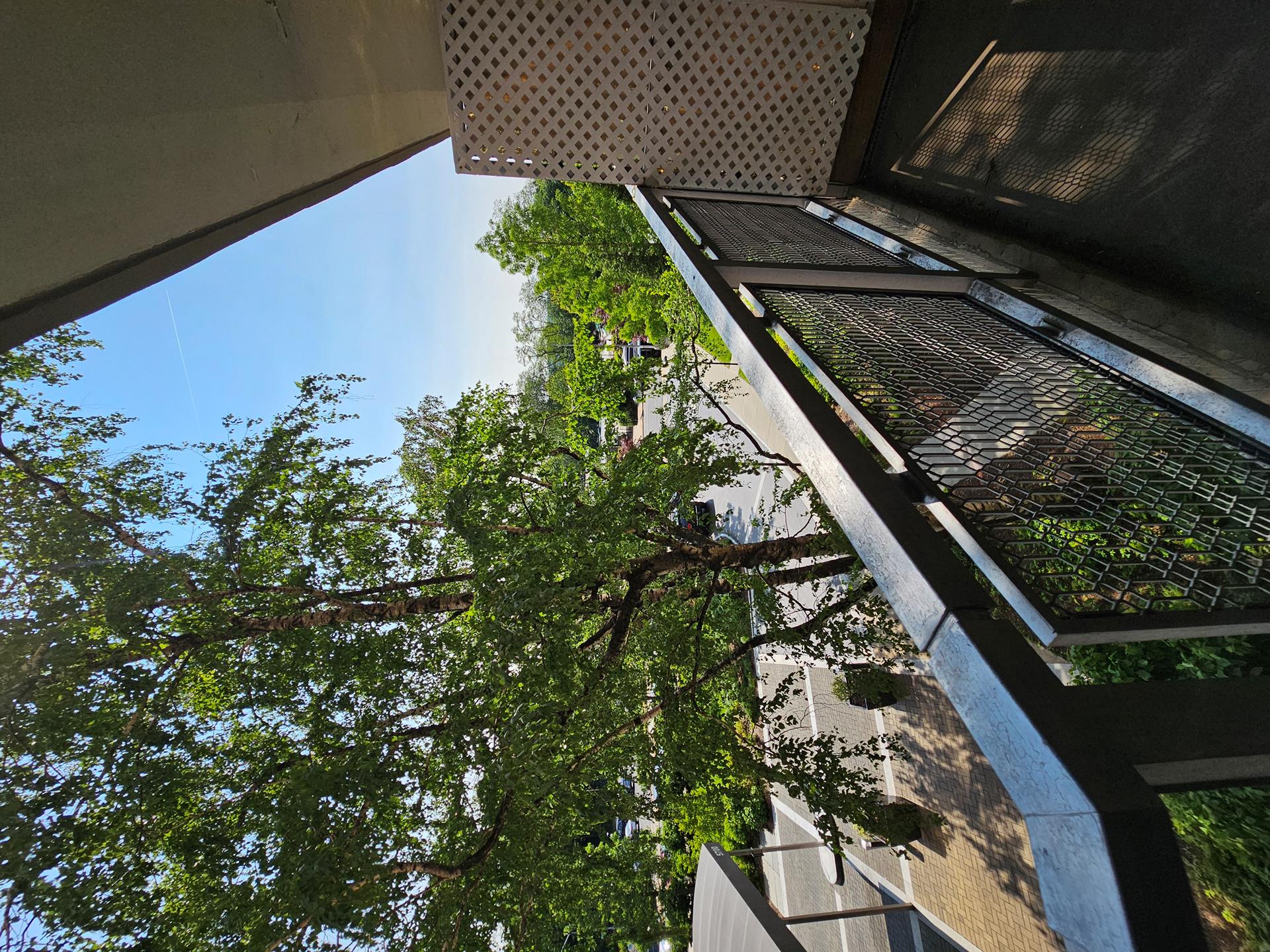 #4 photo, 5700 ARLINGTON Avenue, ブロンクス区 North Riverdale , NY 10471