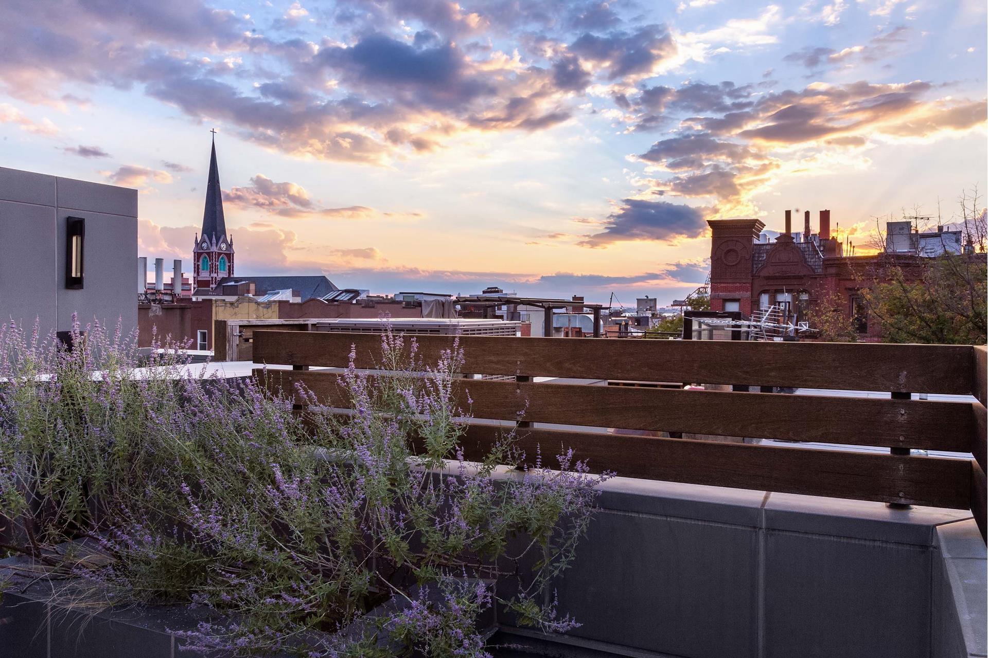 #16 photo, 181 PRESIDENT Street, ブルックリン区 Carroll Gardens , NY 11231