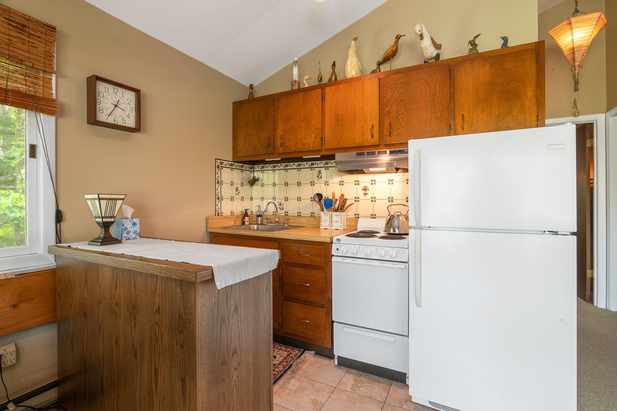 #10 photo, 101 Hunter Lane, Hunter , NY 12442