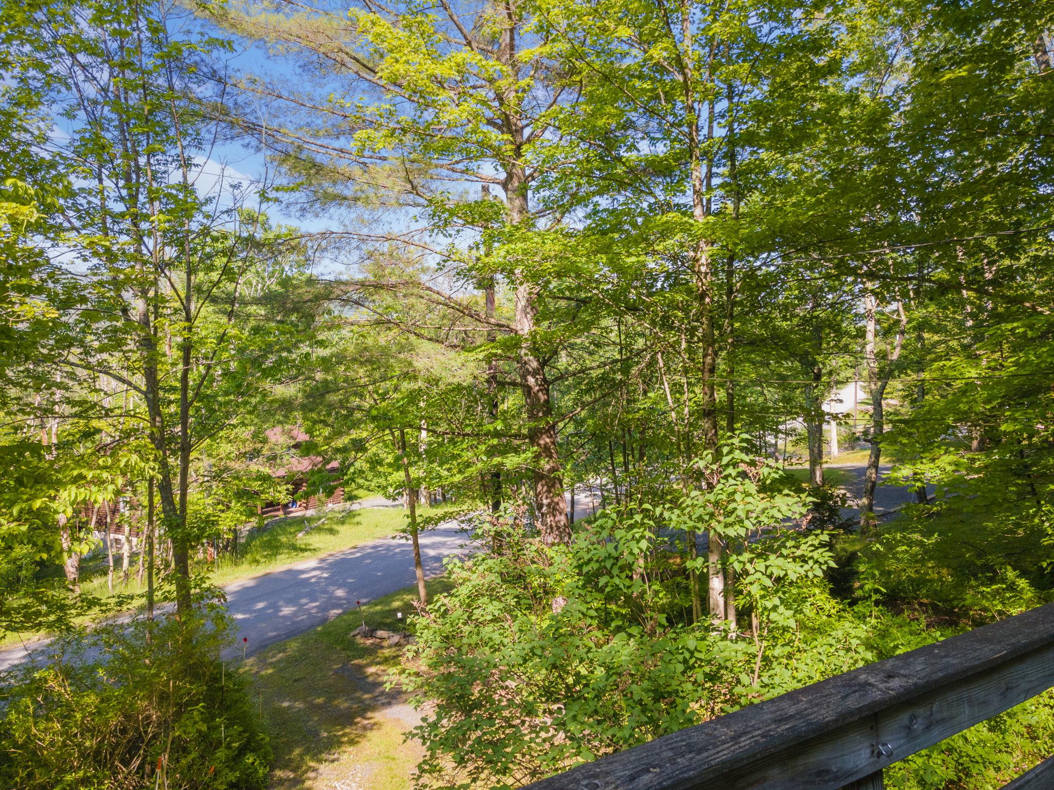 #4 photo, 101 Hunter Lane, Hunter , NY 12442