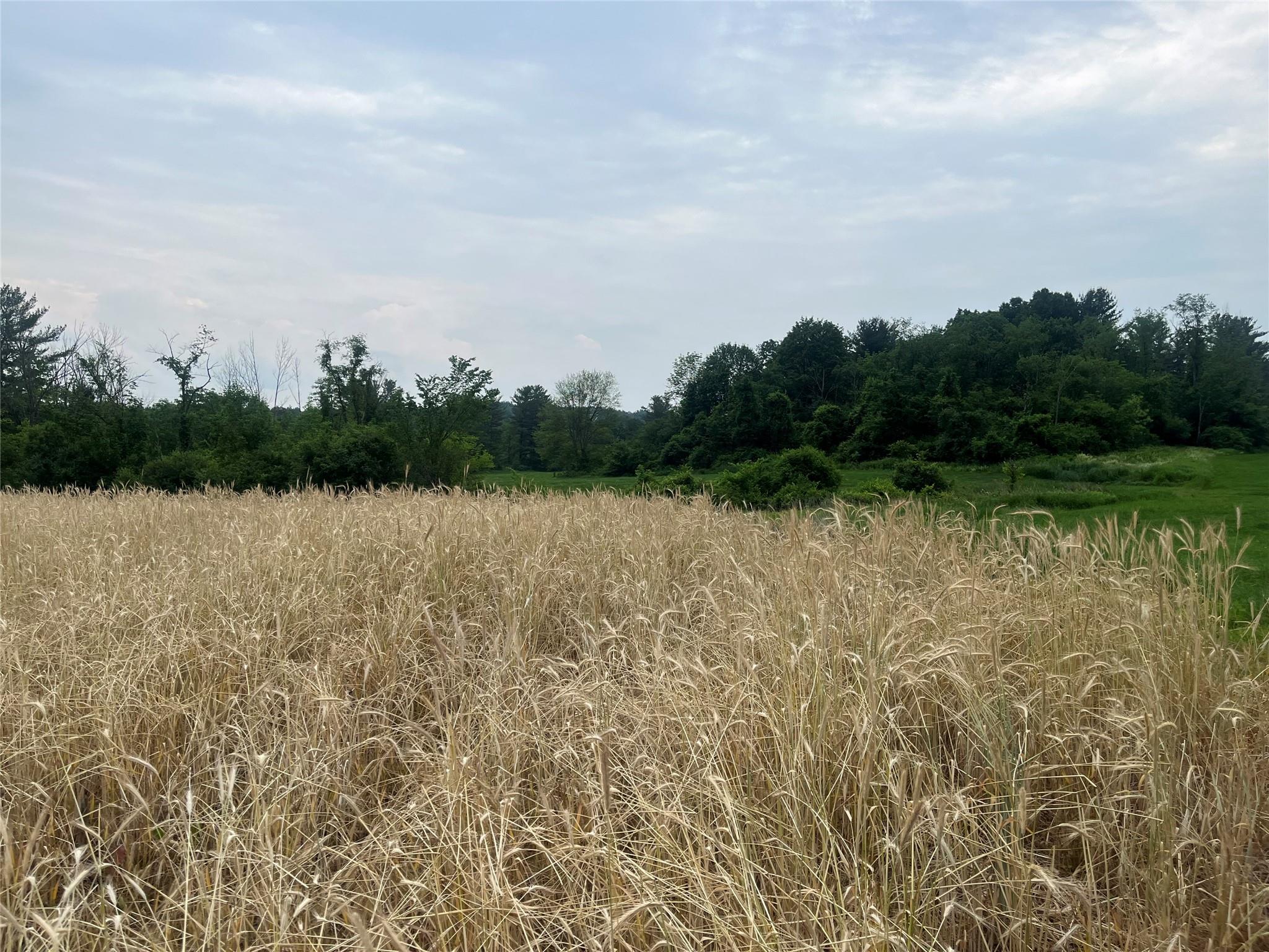 #7 photo, School House Rd Schoolhouse, Kinderhook , NY 12173