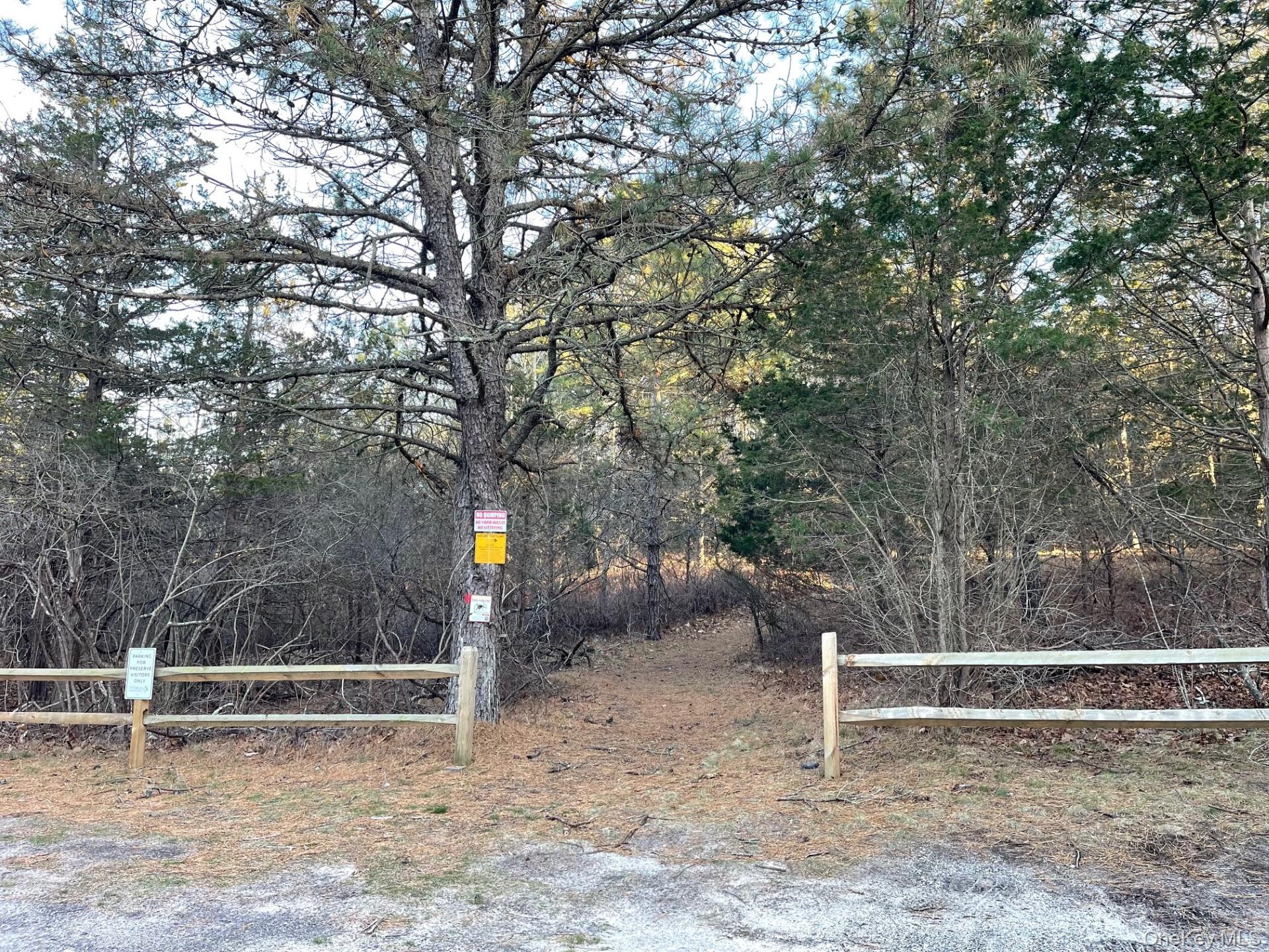 #11 photo, 59 Shinnecock Hills Road, サフォーク郡 Southampton , NY 11968