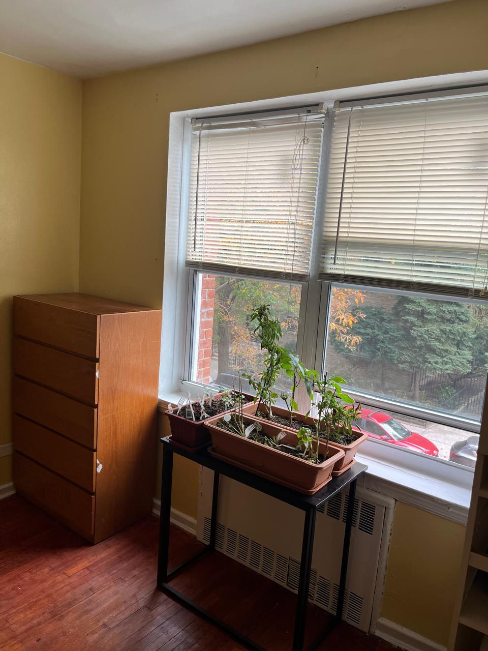 #7 photo, 33-15 81st Street, كوينز Jackson Heights , NY 11372