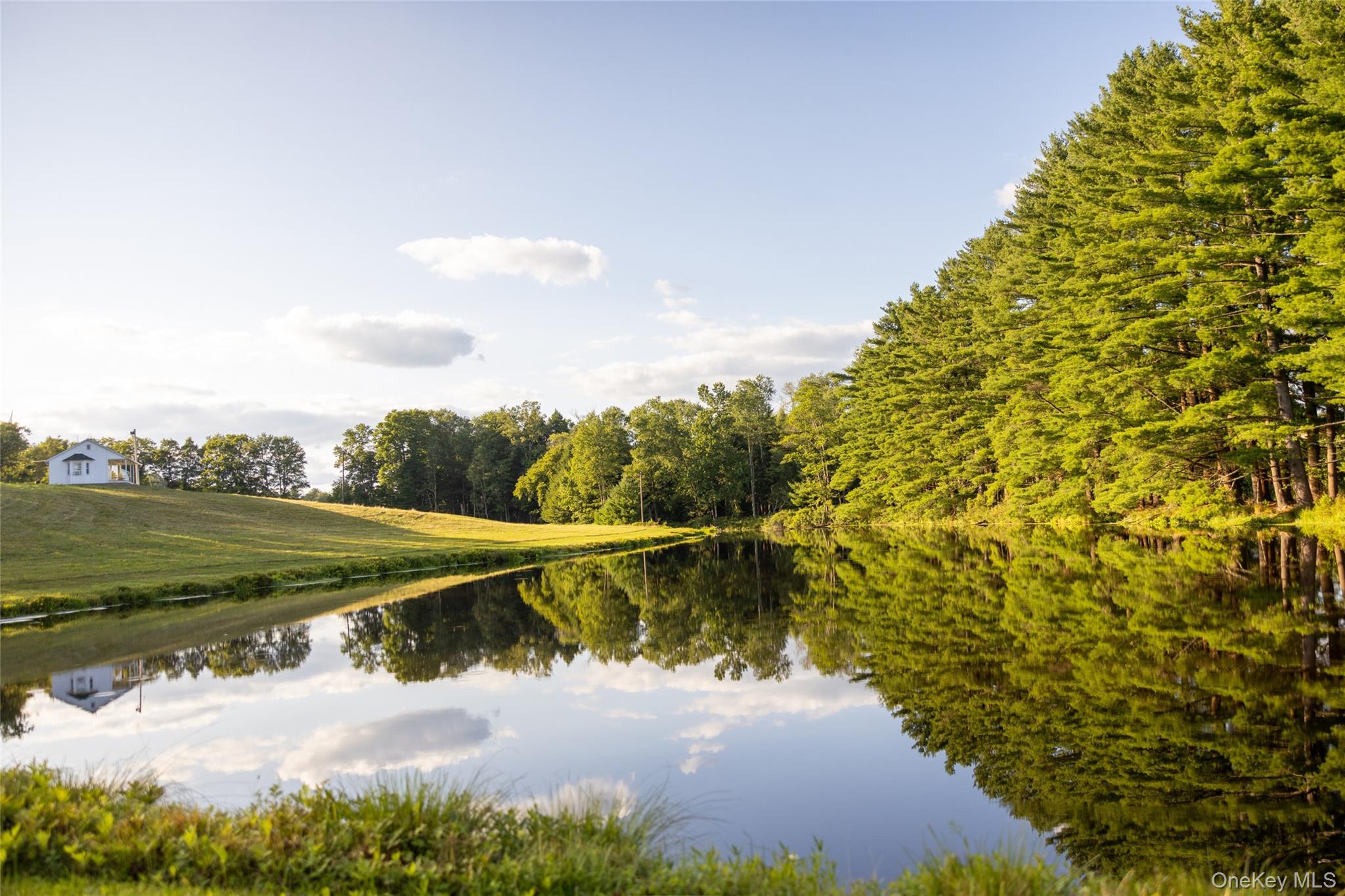 #7 photo, 49 Crumley Van Vactor Road, Ferndale , NY 12734